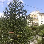 Centar דירה *